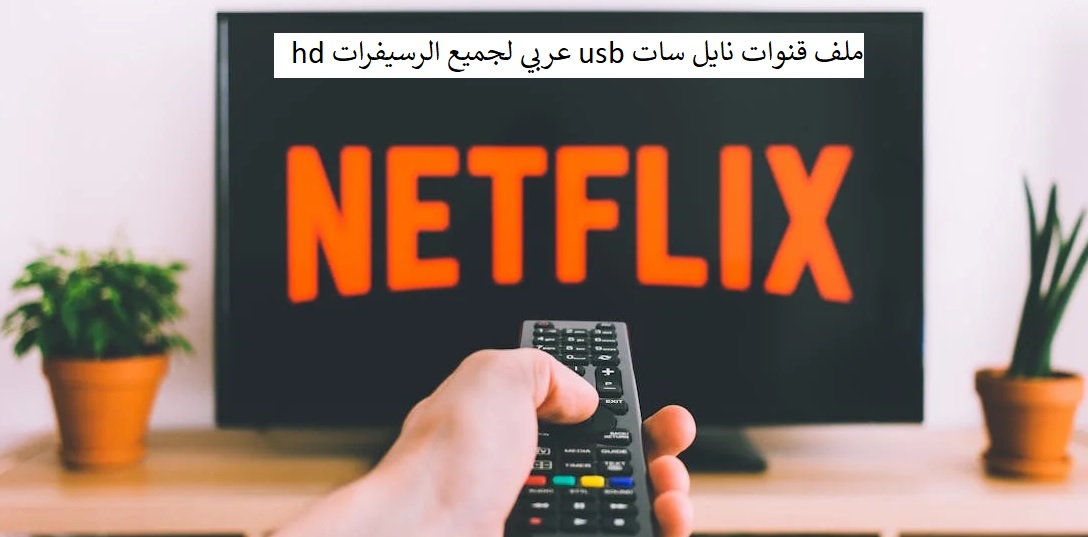 ملف قنوات نايل سات usb عربي لجميع الرسيفرات hd